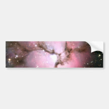 Stellar incubators bumper sticker