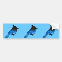 Steller's Jay Bumper Stickers