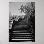 Steps Posters