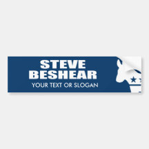 STEVE BESHEAR FOR SENATE BUMPER STICKER