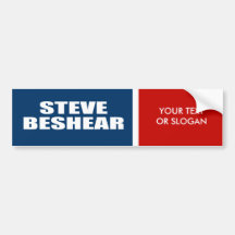 STEVE BESHEAR FOR SENATE BUMPER STICKERS