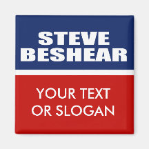 STEVE BESHEAR FOR SENATE MAGNETS