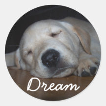 sticker..., Dream