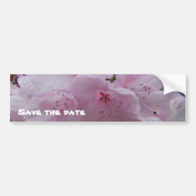STICKER - Soft and pretty pink Rhododendrons Bumper Sticker