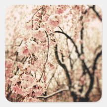Stickers:  Spring blossoms