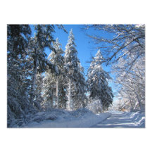 Sticky Snow 32 ~ Photo