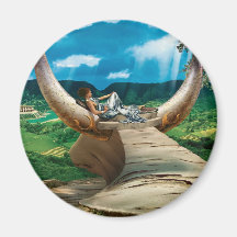 Stier - Magnet Magnete