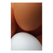 Still a good egg... customized stationery