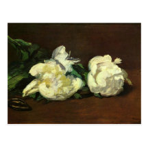 Still life, white peonies - Edouard Manet Postcard