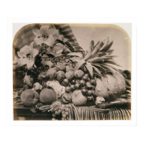 Still Life with Fruit, 1860 (sepia photo) posters