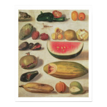 Still Life with Fruit and Toad posters