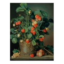 Still life with strawberries postcards