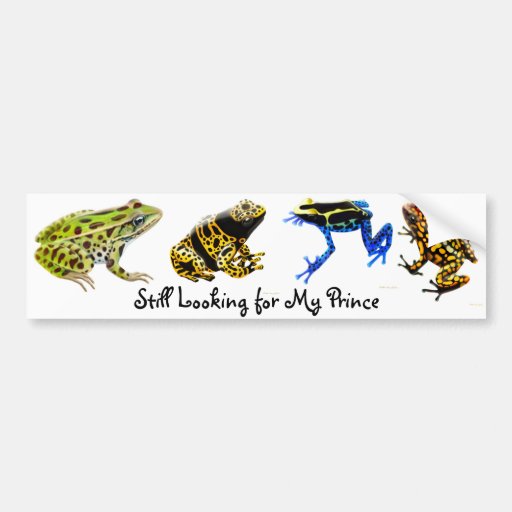 Still Looking for my Prince Bumper Sticker