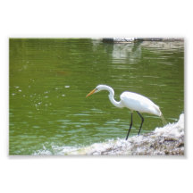 Stillness Photo