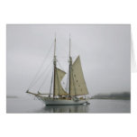 Stillwater Greeting Card