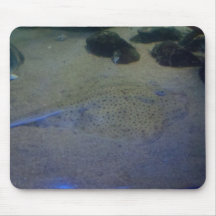 Sting Ray Mousepads