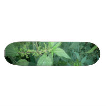Stinging Nettles Skate Board
