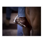 Stockhorse and Spurs Postcards