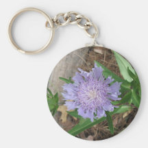Stokes Aster, Stokesia laevis Keychain