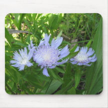 Stokesia, Stokes Aster Mouse Pad
