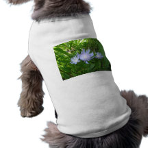Stokesia, Stokes Aster Pet Tshirt