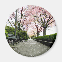 Stone Path Magnets