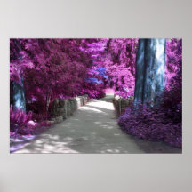 Stone Pathways Poster