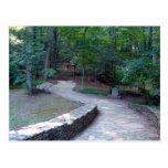 Stone Walkway East Ridge Trail Amicalola Postcard