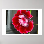 Stoned Flower Print