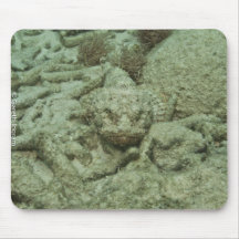 Stonefish in hiding mouse pad