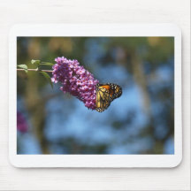 Stop and Smell the Flowers Mouse Pads