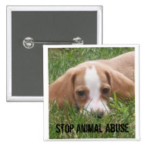 Stop Animal Abuse Pin