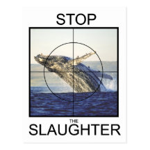 Stop Slaughter-whales Postcards