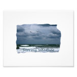 Stormy Beach with Seagulls Image Text Photo Art