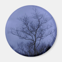 stormy night fridge magnet