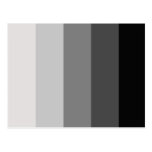 Straight Pride Post Cards