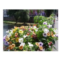 Strasbourg by day, flowers carte postale
