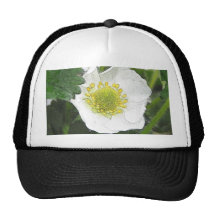 Strawberry Blossom Trucker Hat