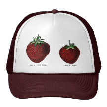 Strawberry Botanicals Mesh Hat