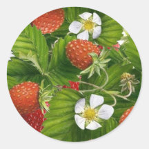 Strawberry Patch Round Sticker