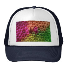 Straws Trucker Hats