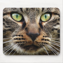Stray Cat Stare Mousepad