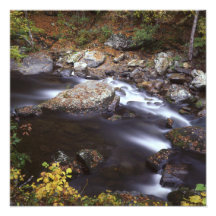 Stream in the Smokies Photo