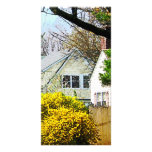 Street With Forthysia Photo Greeting Card