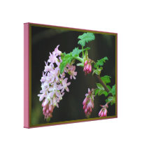 Stretched Canvas Print - Pink Wildflowers