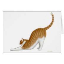 Stretching Tabby Cat Card