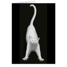 Stretching White Cat Card