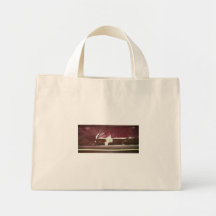 stripe bag