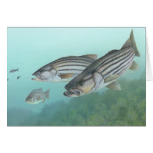 Striped Bass Painting Blank Card