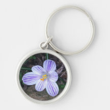 Striped Springtime Crocus Keychain